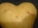 Love potato