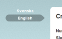 British or American English or just English