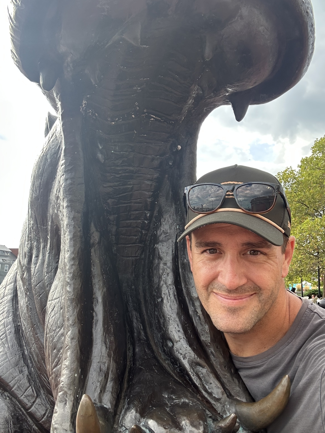 Hippos in Boston