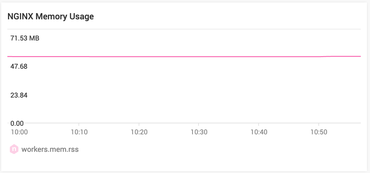 NGINX Memory Usage