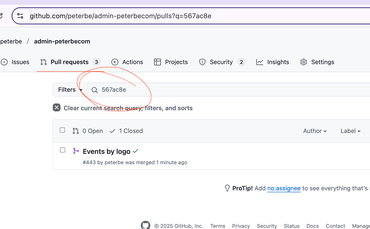 Pull Requests search result
