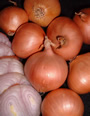 Round shallot