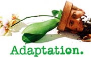 Adapation